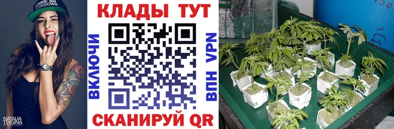 Купить наркоту Старица Cocaine  Канабис  ЭКСТАЗИ  ГАШИШ  Меф 