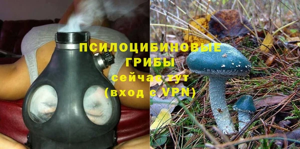 мяу мяу мука Белоозёрский