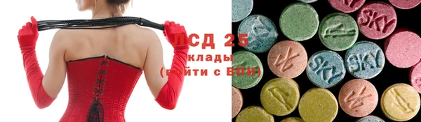 дмт Бородино