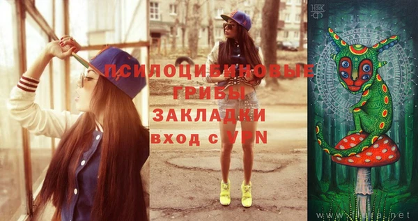 мдпв Беломорск
