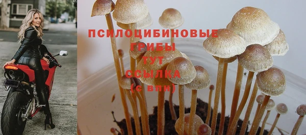 мдпв Бугульма