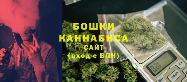 бошки Белокуриха