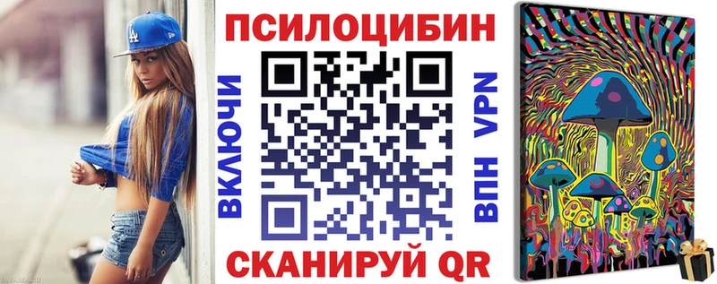 ссылка на мегу ТОР  Старица  Галлюциногенные грибы Psilocybe 